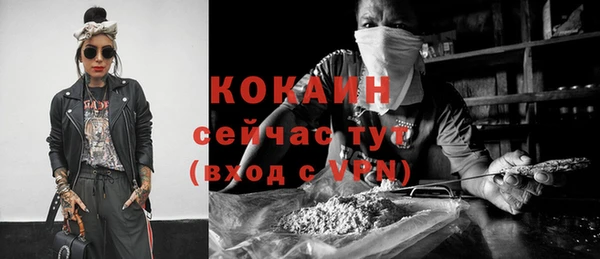 прущие крисы Арсеньев