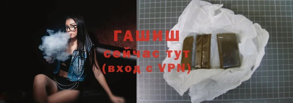 ECSTASY Горняк