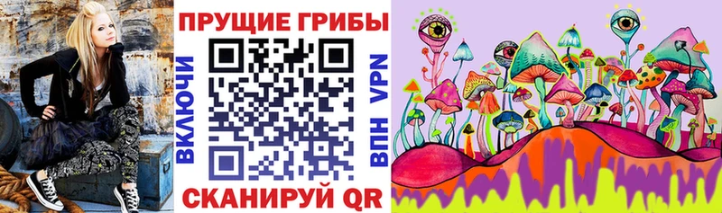 Галлюциногенные грибы Psilocybe  Радужный 